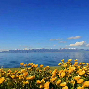 伊犁河谷经典深度摄影12日游