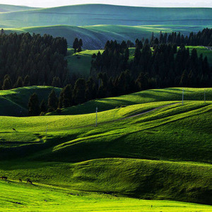 大疆南北之巴里坤7日游